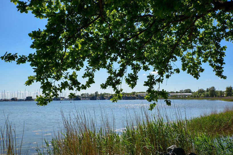 Yachthafen Marina Goor - Lauterbach, Rügen von GH Foto & Artdesign