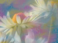 Zwei Gänseblümchen vor einem bunten geometrischen Hintergrund