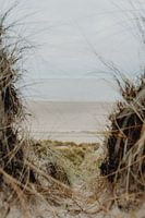 Nature morte à la plage en hiver