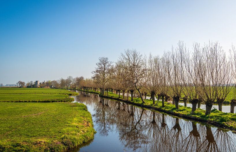 Schmaler Weg mit Kopfweiden und Gräben auf beiden Seiten von Ruud Morijn