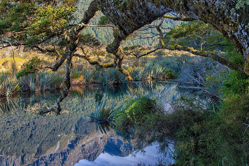 Reflexionen über die Natur von Patricia Hofmeester