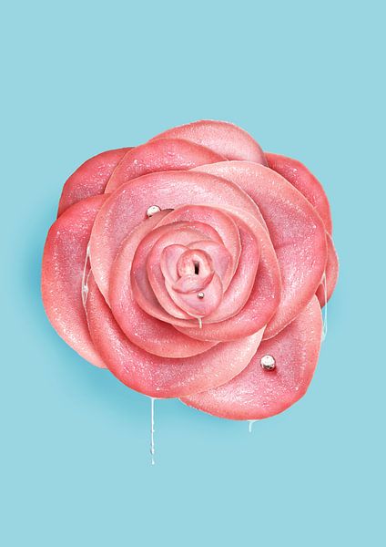 Aussehen wie lecken von 360brain