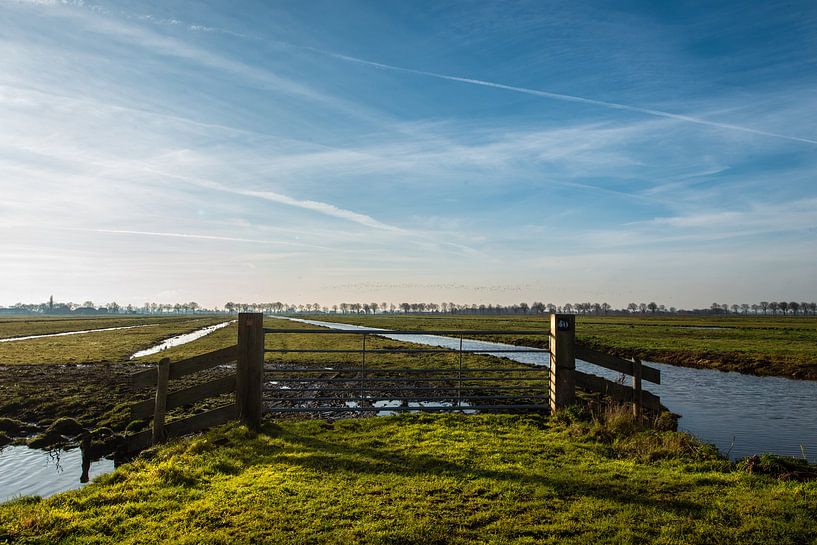 Wiesen in Nordholland. von Brian Morgan