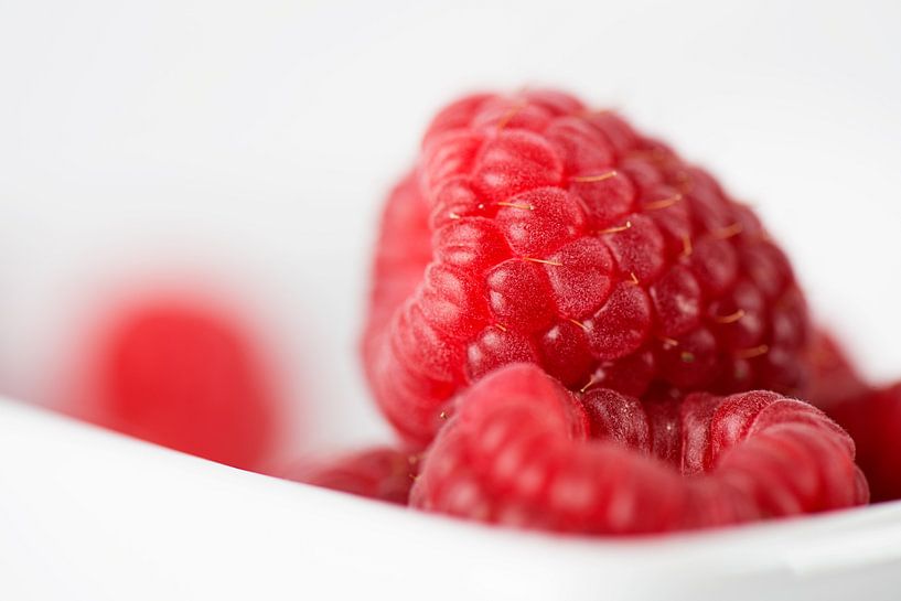 Fruits doux - Framboise par Erich Krätschmer