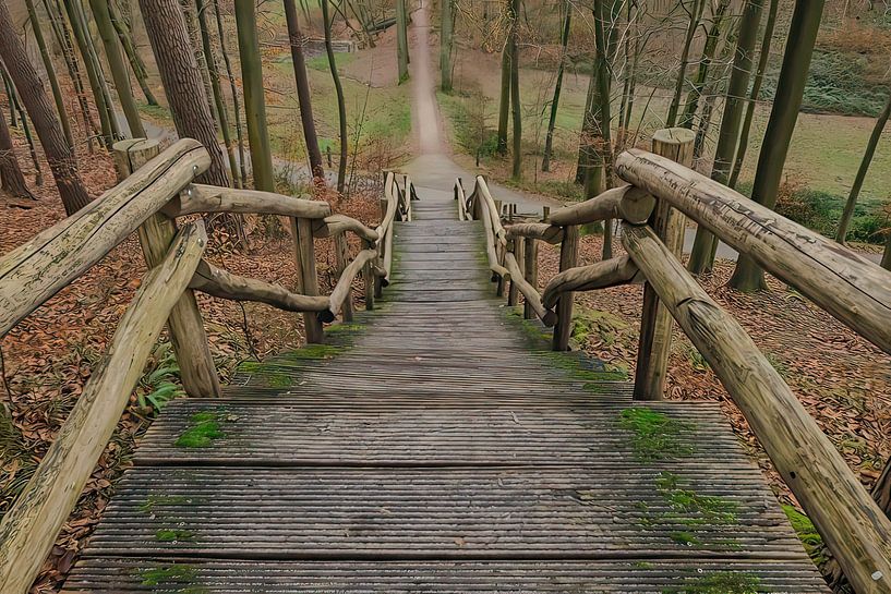 The stairs to beautiful places in the forest by Robby's fotografie