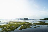 Thailändische Berglandschaft