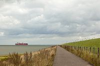 Langs de Westerschelde