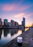 Rotterdam at Dawn - City Reflections in Silence