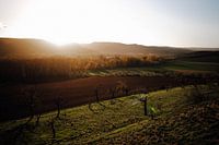Uitzicht op het Bodedal in de Harz bij zonsondergang