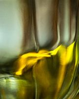 Tournesol dans l'abstraction