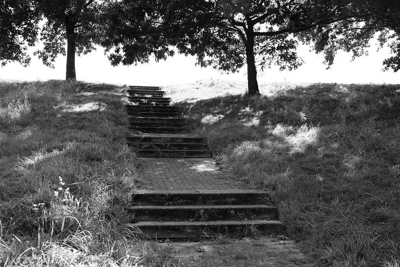 Die Natur entdecken in einem Waldgebiet im Emsland, Niedersachsen, Deutschland von Bianca Meyering Fotos - BMF