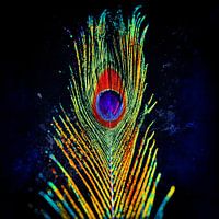 Feather of a Peacock