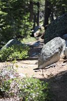 wandelpad met stenen