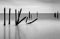 Mosselpalen (Frankrijk)