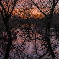 Entangled Evening Light