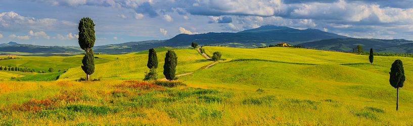 Panorama Agriturismo Terrapille, Val d'Orcia, Tuscany, Italy by Henk Meijer Photography