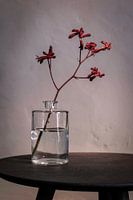 Modernes Stilleben mit roter Blüte in Glasflasche