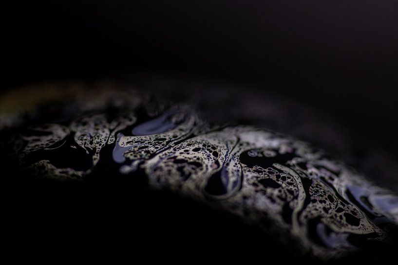 structuur macro zeepbel van Monique de Koning