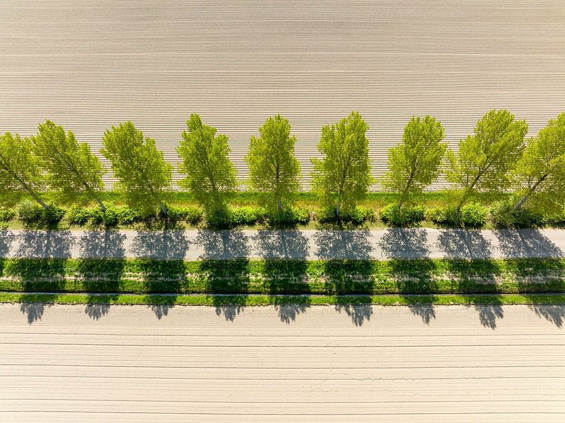 Road in a rural landscape seen from above by Sjoerd van der Wal Photography