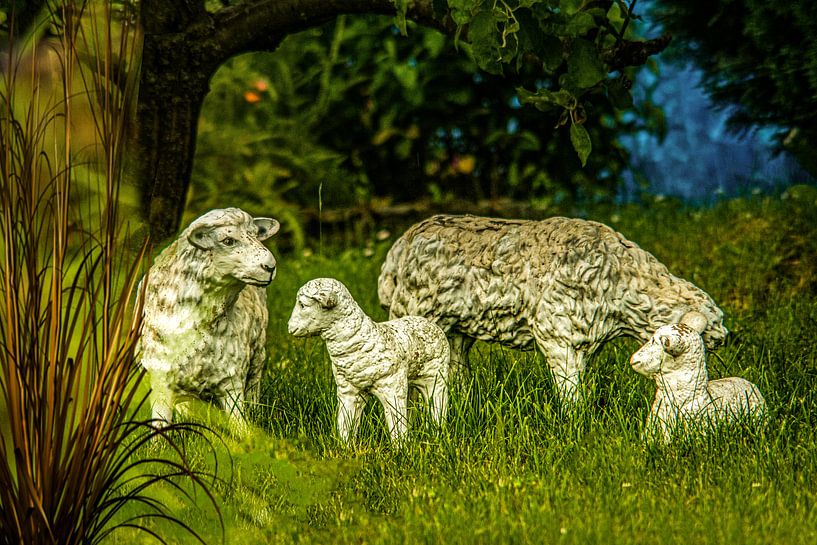 Wald Blumen Feld Landschaft Erzgebirge Pilze von Johnny Flash