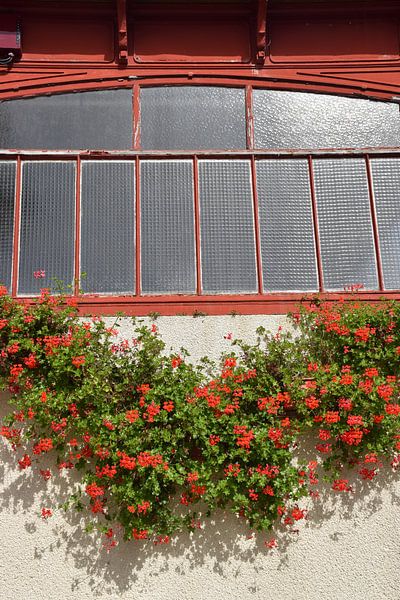 Markthalle Dol-de-Bretagne von Ingrid de Vos - Boom