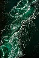 Eenzame meeuw boven de maelstrom