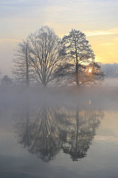 Neujahrsmorgen 2020 von Bernhard Kaiser