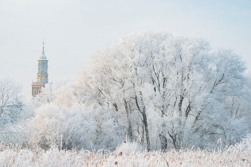 Blick auf den neuen Turm in Kampen im Winter von Sjoerd van der Wal Fotografie