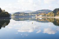 Reflet dans le lac Diemel avec forêt et nuages en Allemagne