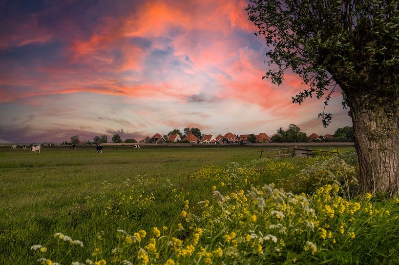 Holland by Brian Morgan