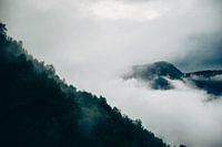 Nature view in Røldal