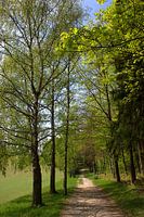 Des chemins de rêve.