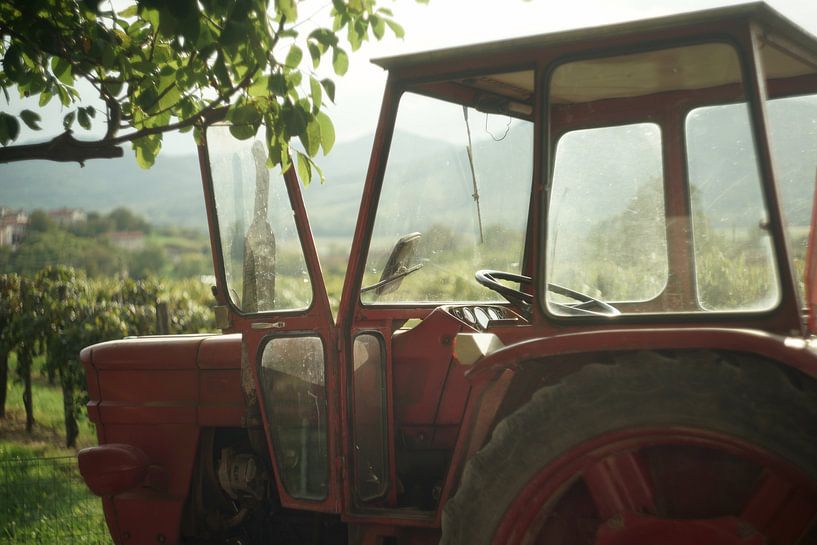Tracteur dans un vignoble en Slovénie par Floris Verweij
