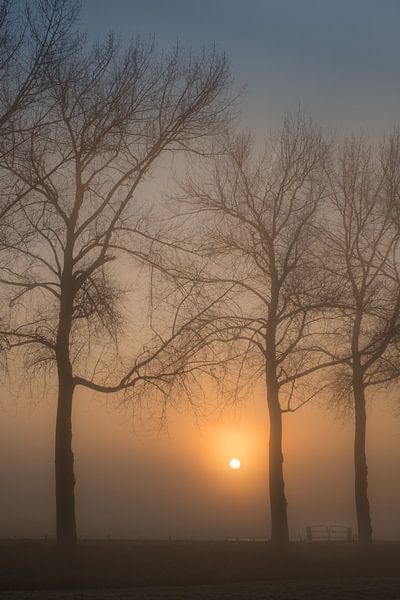 Magnifique lever de soleil dans le brouillard par Moetwil en van Dijk - Fotografie