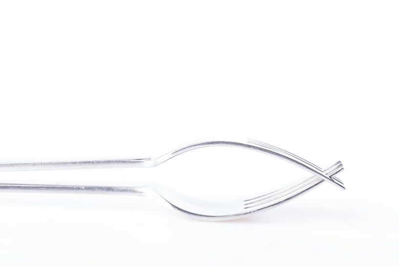 Doppelte Gabel 2 von Hille Monster