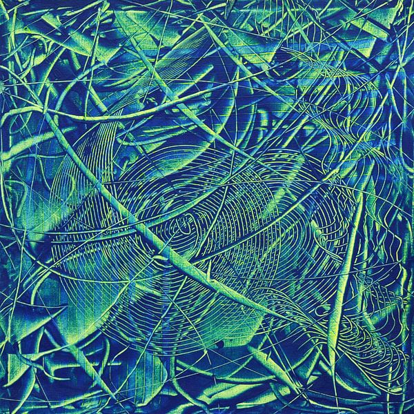 Blauer Schwindel von Auke de Jong