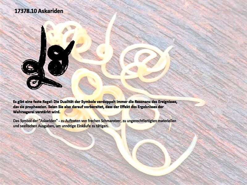 Askariden 17378.10 von Vladimir Zykunov