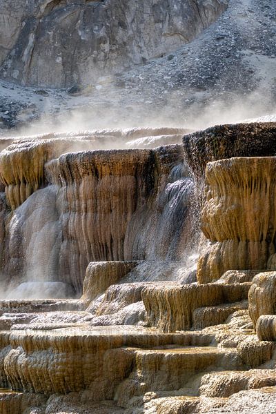 Mammoth Hot Springs, parc national de Yellowstone, États-Unis par Jeroen van Deel
