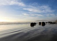 Totaalbeeld van de Moeraki Boulders in Nieuw-Zeeland