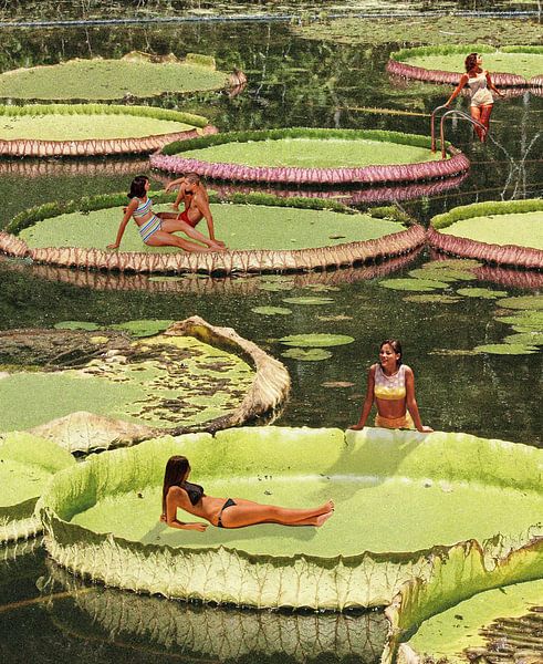 Tal der Lilie von Irie Wata