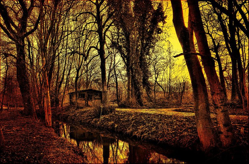 Sunset in the park par Leo Huijzer