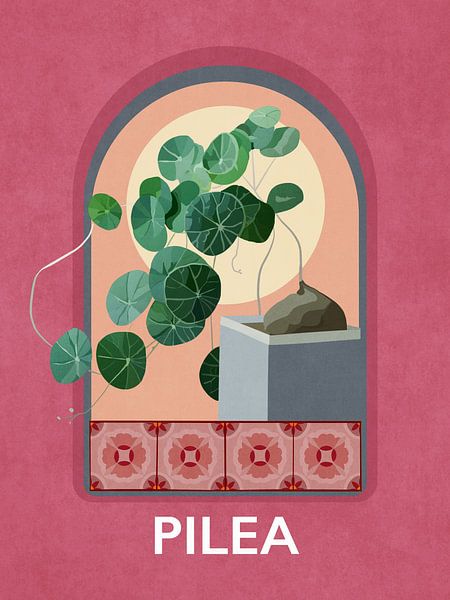Pilea von Emel Tunaboylu by The Artcircle