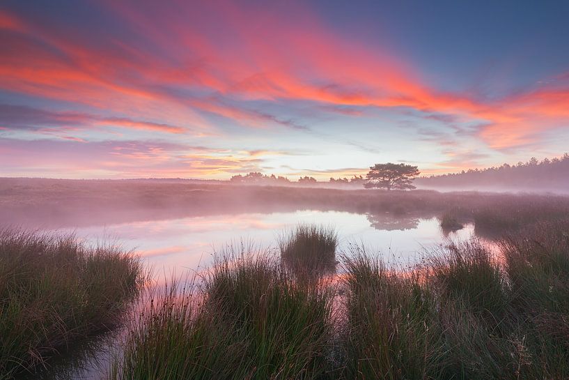 Perfect Morning. by Rob Christiaans