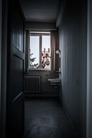 Surreal Giraffe Window Art | Playful Animal Photography | Unique Home Decor