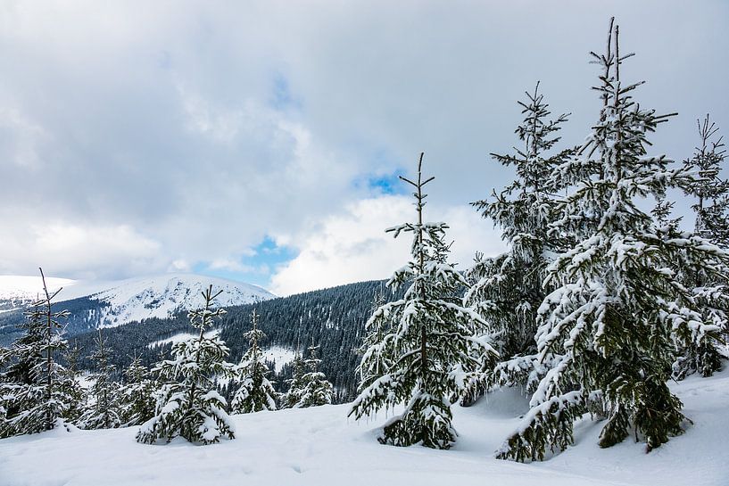 Winter im Riesengebirge bei Pec pod Snezkou, Tschechien par Rico Ködder