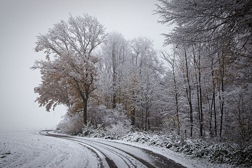 Winter im Eyser Wald von Rob Boon