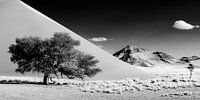 Dünenlandschaft Schwarzweiss