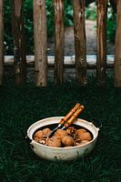 Walnussfotografie in der Natur