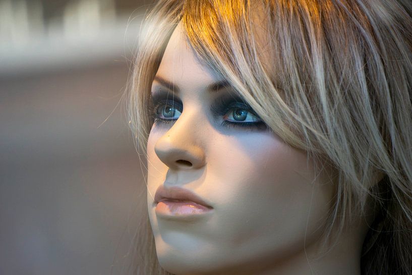 Dummy lady by Corina Giethoorn