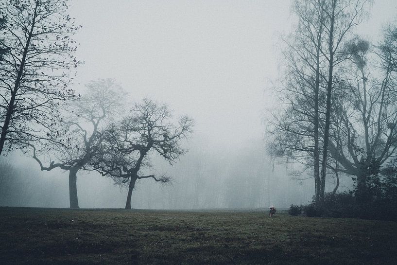 Unheimlicher Wald von Meike Huibers